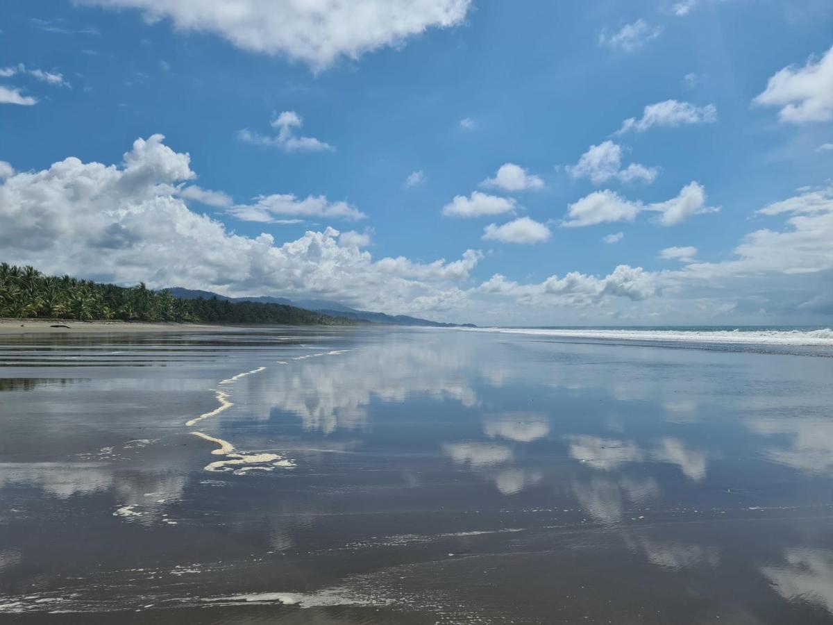 Hona Beach Hotel ドミニカル エクステリア 写真